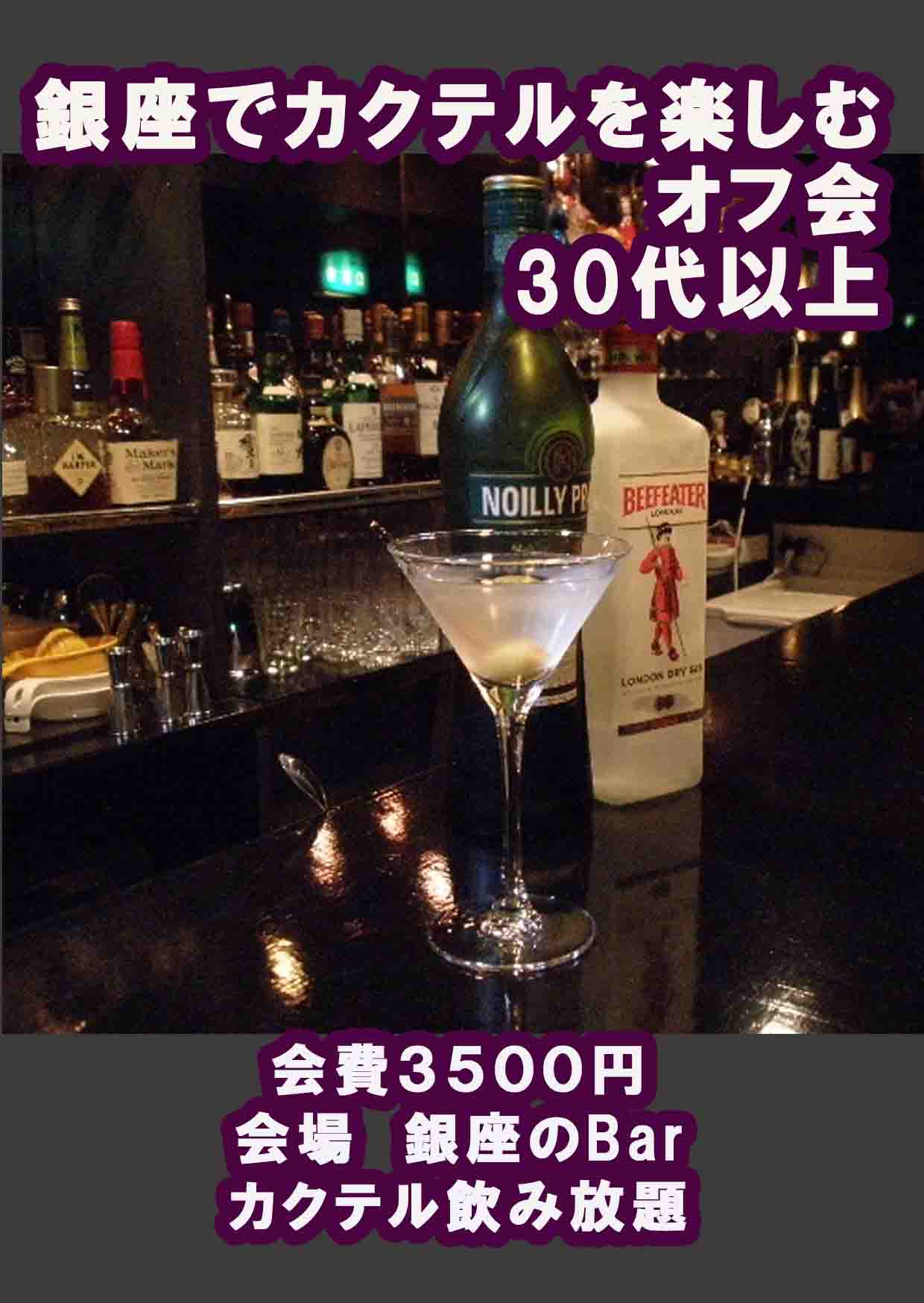 銀座でカクテルを楽しむオフ会 30代以上vol.25