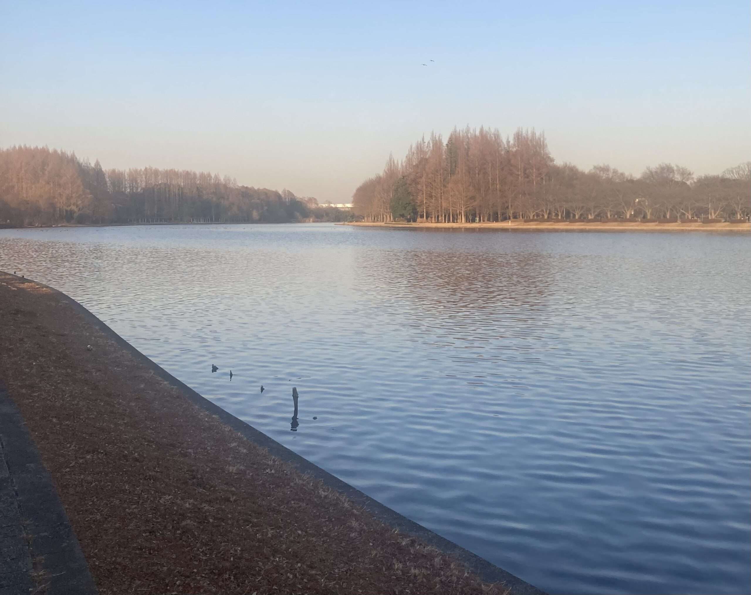 💐気軽に集まりませんか？😃カップルさんかいい感じおふたり