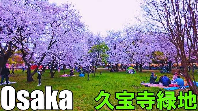 【大阪】🌸30代～40代お花見会🌸