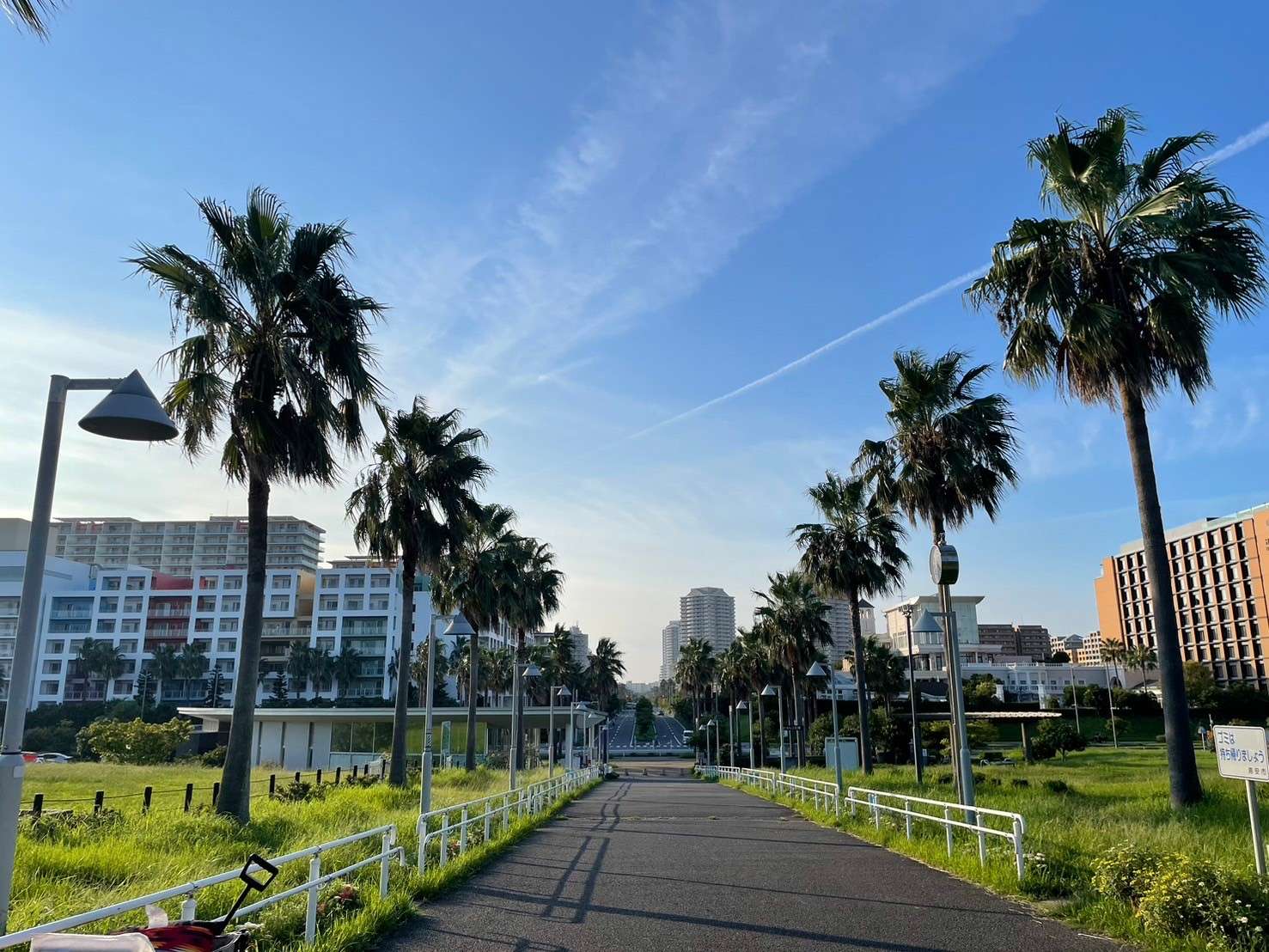 50歳over　ピクニック