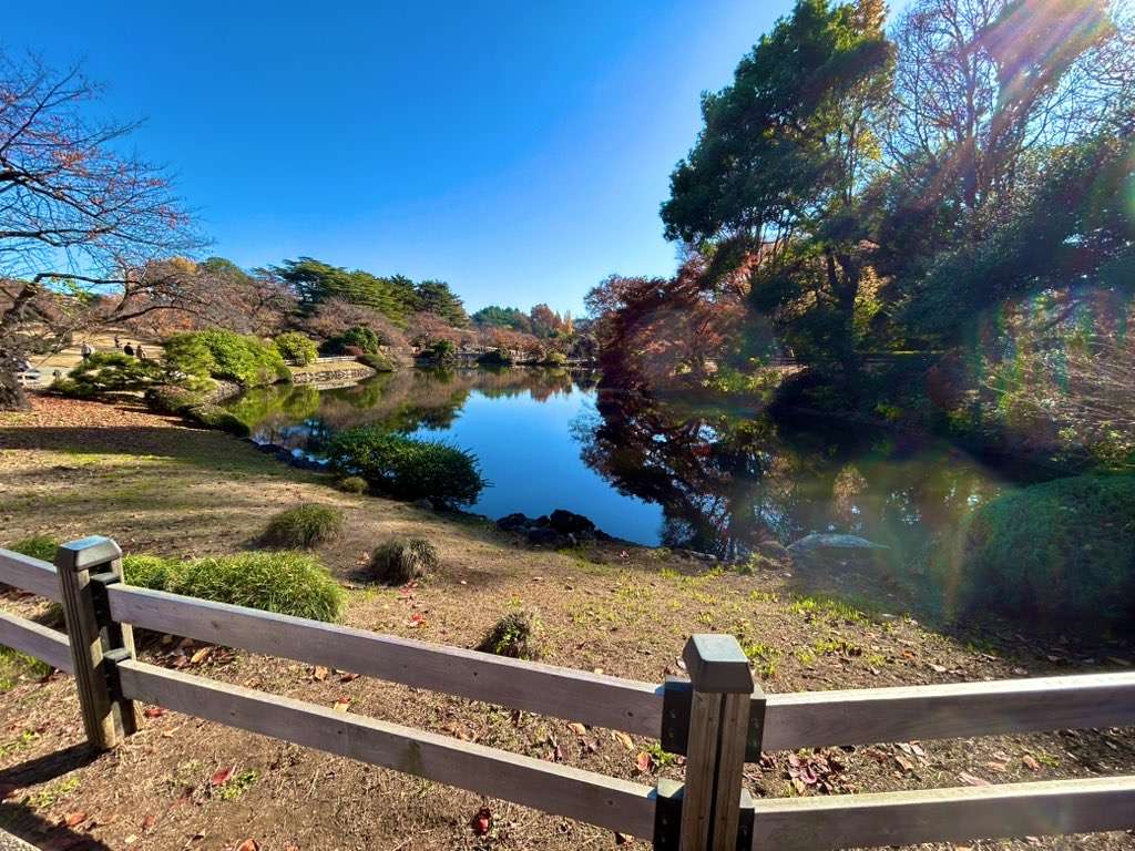 【フリー限定】お散歩オフ会🚶‍♂️🏳️‍🌈【新宿御苑】